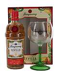 Tanqueray Sevilla Gin with Copa glas