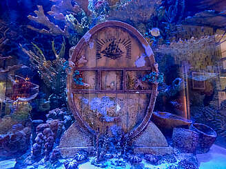 Neisson cask in the aquarium&nbsp;hochgeladen von&nbsp;anonym, 11.04.2024