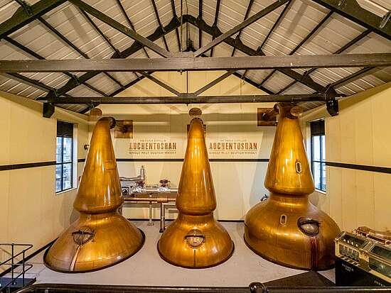 The pot stills of the Auchentoshan Distillery