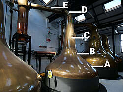 Bowmore Distilling Room