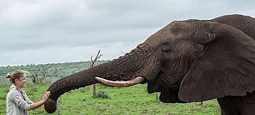 Elephant Gin Big Life Foundation Tessa Gerlach&nbsp;uploaded by&nbsp;Ben, 07. Feb 2106