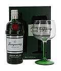Tanqueray Gin with Copa glas