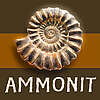 Avatar von  Ammonit