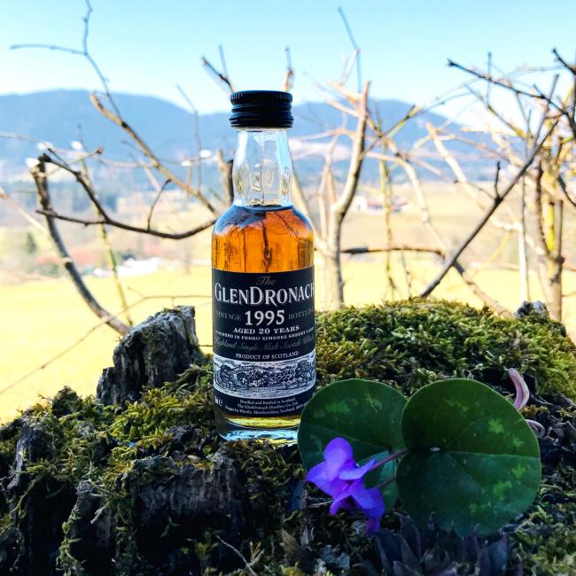 Miniatur Glendronach PX Finish 'Whisky.de exklusiv' - 12er Pack 